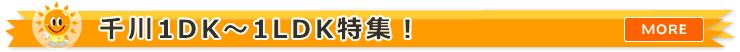���2K�E2DK�E2LDK�̕������W